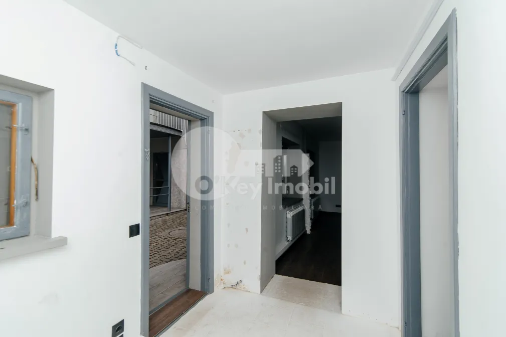 Офис, Центр, ЛЭПУШНЯНУ