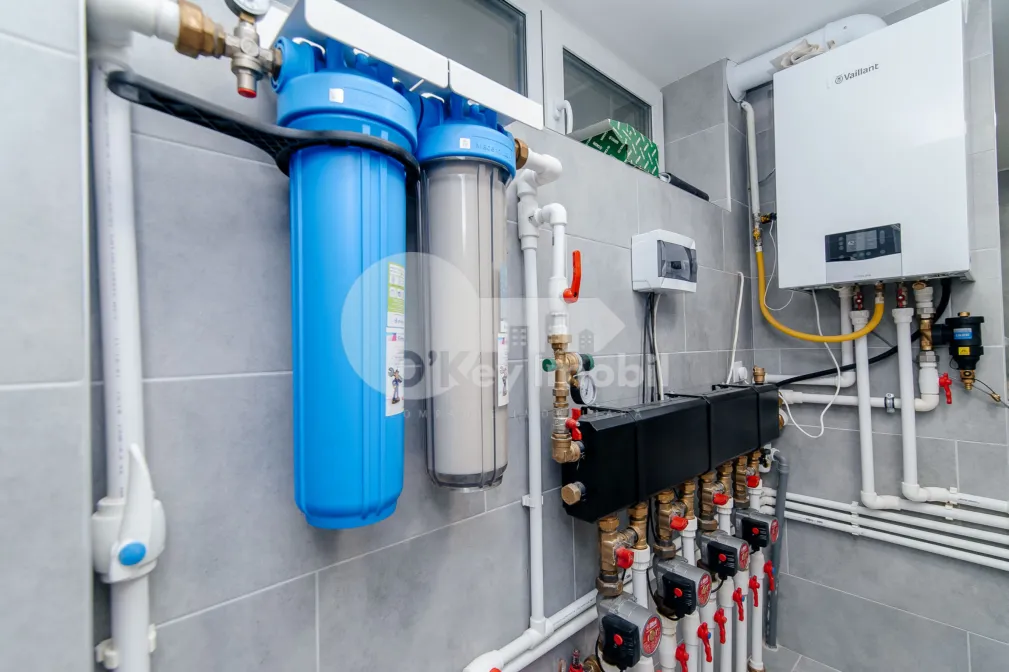 Casă, Botanica, PĂȘUNILOR